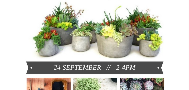 Succulent Bowl Workshop